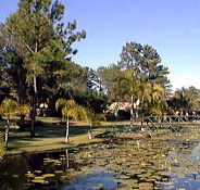 Twin Lakes Hotel - Accommodation Resorts
