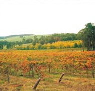 Byramgou Park - Accommodation Resorts