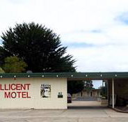 Millicent Motel - Accommodation Resorts