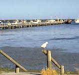 Seaview Motel and Holiday Units - Accommodation Resorts