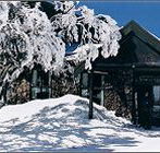 Arlberg Hotel Mt Buller - Accommodation Resorts