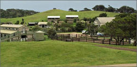Cape Schanck VIC Accommodation Resorts