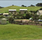 Ace Hi Riding Ranch - Accommodation Resorts