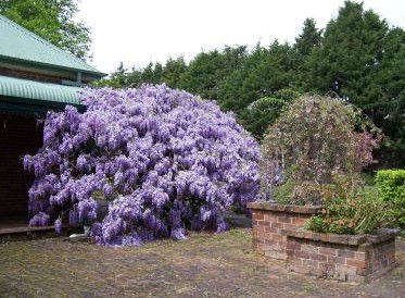 Heronswood House - Accommodation Resorts 2