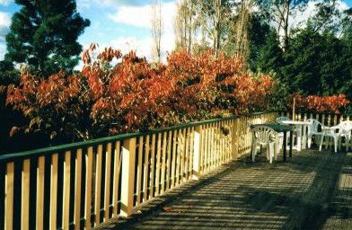 Heronswood House - Accommodation Resorts 5