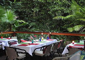 Daintree Rainforest Retreat Motel - Accommodation Resorts 1
