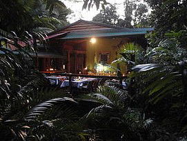 Daintree Rainforest Retreat Motel - Accommodation Resorts 4