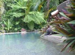 Daintree Rainforest Retreat Motel - Accommodation Resorts 5