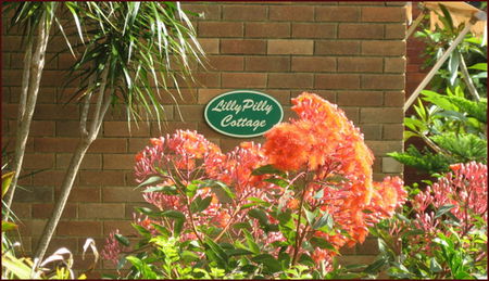 Balgowlah NSW Accommodation Resorts