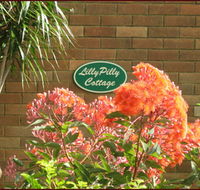 Lillypilly - Accommodation Resorts