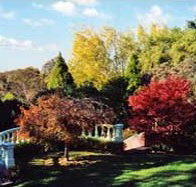 Edgelinks Bed And Breakfast - Accommodation Resorts