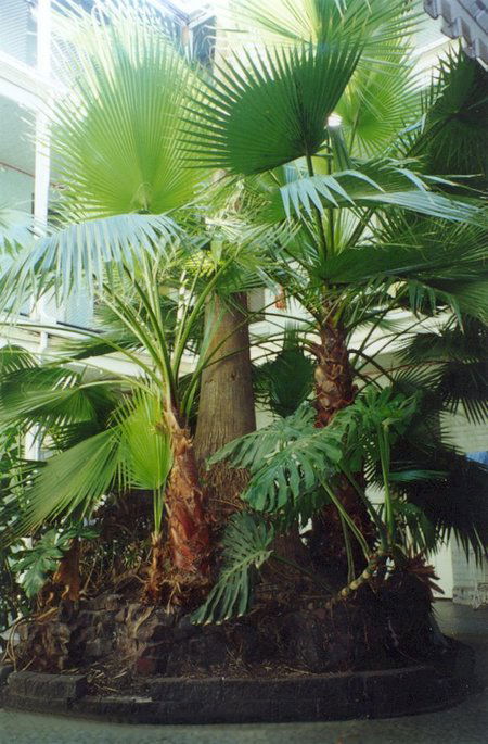 Plaza Hotel - Accommodation Resorts 2