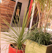 Adelphi Apartments - thumb 1