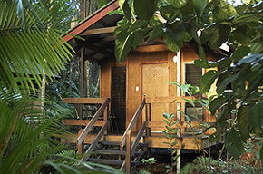 Cape Tribulation QLD Accommodation Resorts