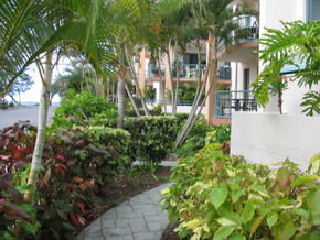 Pacific Place Apartments - Accommodation Resorts 5