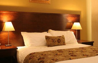 Whale Motor Inn - Accommodation Resorts 1