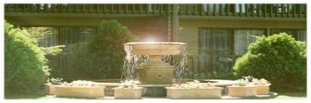 Best Western Tall Trees Motel - Accommodation Resorts 2