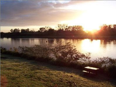 Colonial Court Motor Inn - Accommodation Resorts 2