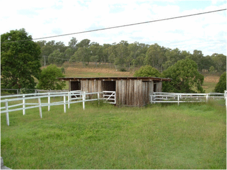 Jacaranda Motor Lodge - Accommodation Resorts 1