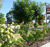 Narrogin Motel - Accommodation Resorts