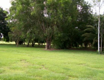 Daly River Mango Farm - Accommodation Resorts 1