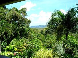 Daintree Manor - Accommodation Resorts 3