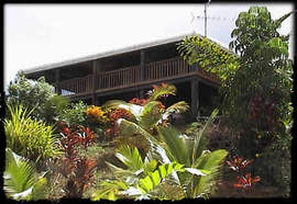 Daintree Manor - Accommodation Resorts 5