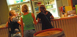 Toddy's Backpackers Resort - Accommodation Resorts 3