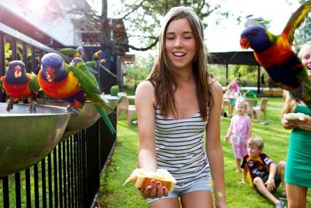 Noosa North Shore Retreat - Accommodation Resorts 5