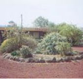 Beaufort Motel - Accommodation Resorts