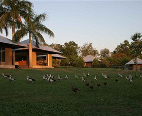 Jingili NT Accommodation Resorts