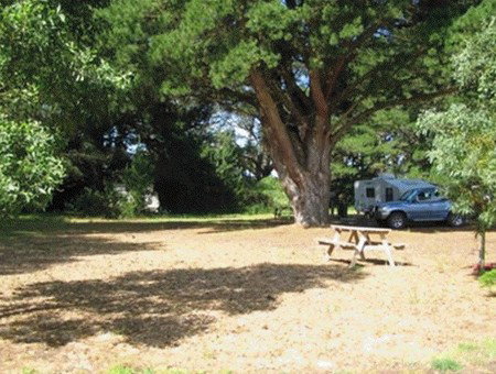 Millicent Hillview Caravan Park - Accommodation Resorts 1
