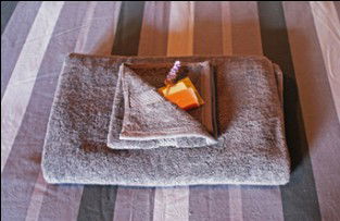 Moolooloo Station - Accommodation Resorts 2