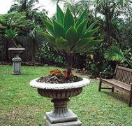 Bangalow Retreat - Accommodation Resorts