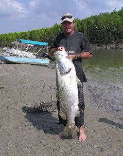  Accommodation Resorts