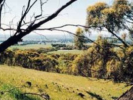 Smith's Farm Stay - Accommodation Resorts 1