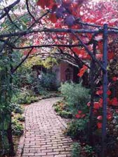 Adelaide Hills Country Cottages - The Nest - Accommodation Resorts 2