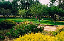 Naracoorte Cottages - Pinkerton Hill - Accommodation Resorts 2