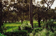 Mount Charmal Bed And Breakfast - Accommodation Resorts 1