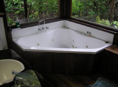 The Canopy Rainforest Tree Houses And Wildlife Sanctuary - Accommodation Resorts 0