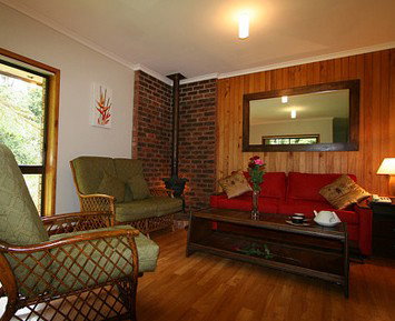 The Canopy Rainforest Tree Houses And Wildlife Sanctuary - Accommodation Resorts 1
