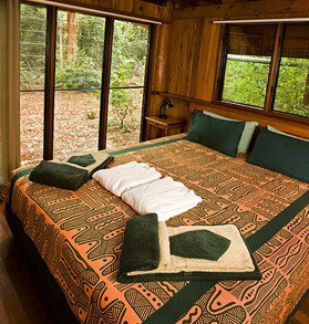The Canopy Rainforest Tree Houses And Wildlife Sanctuary - Accommodation Resorts 2