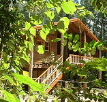 Rivers Edge Rainforest Retreat - Accommodation Resorts
