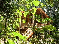 Rivers Edge Rainforest Retreat - Accommodation Resorts 0