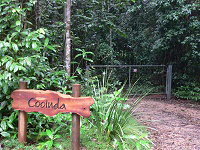 Rivers Edge Rainforest Retreat - Accommodation Resorts 4
