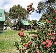 Derwent Bridge Chalets and Studios - Accommodation Resorts
