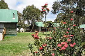 Derwent Bridge Chalets And Studios - Accommodation Resorts 0