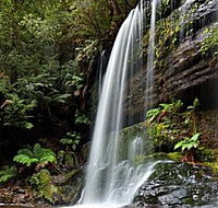 National Park Hotel - Accommodation Resorts