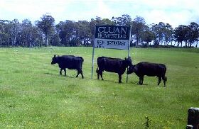 Cluan TAS Accommodation Resorts