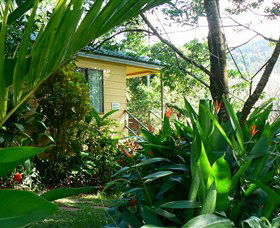 Daintree Valley Haven - Accommodation Resorts 0